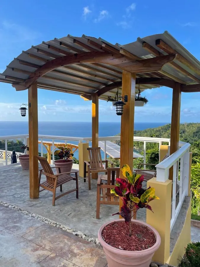 Guest house The Victory Villa Parrot Hall