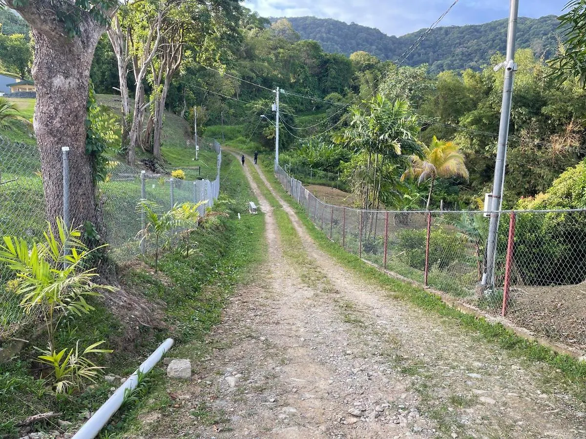 Guest house The Victory Villa Parrot Hall Trinidad And Tobago