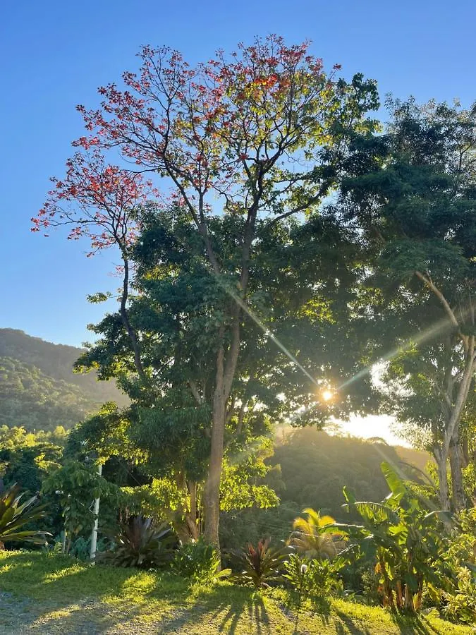 Guest house The Victory Villa Parrot Hall Trinidad And Tobago